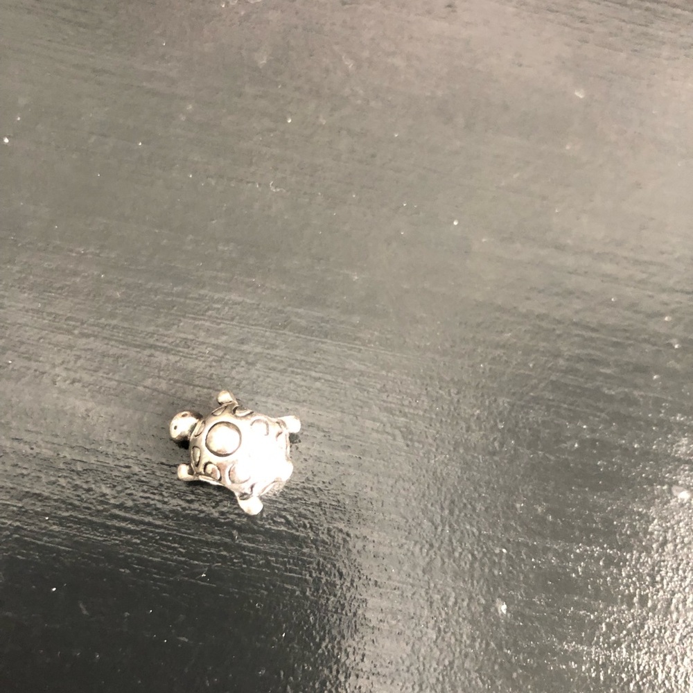 pandora charm